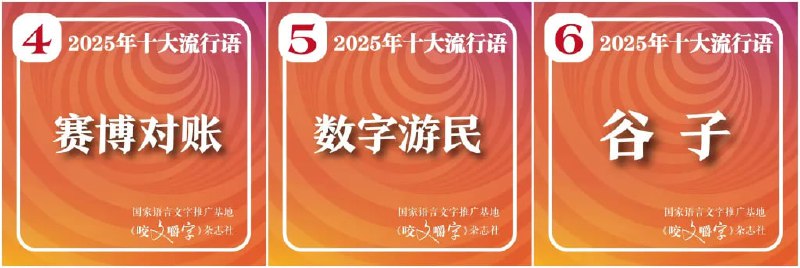 《咬文嚼字》发布 2025 年十大流行语，