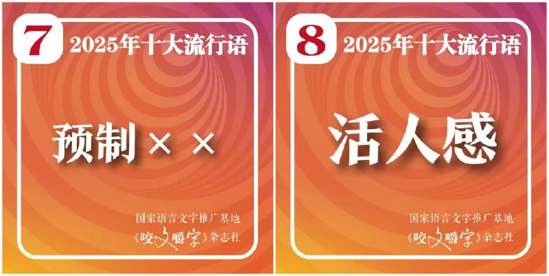 《咬文嚼字》发布 2025 年十大流行语，
