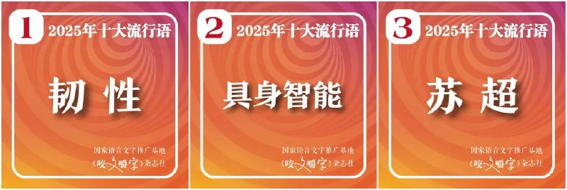 《咬文嚼字》发布 2025 年十大流行语，